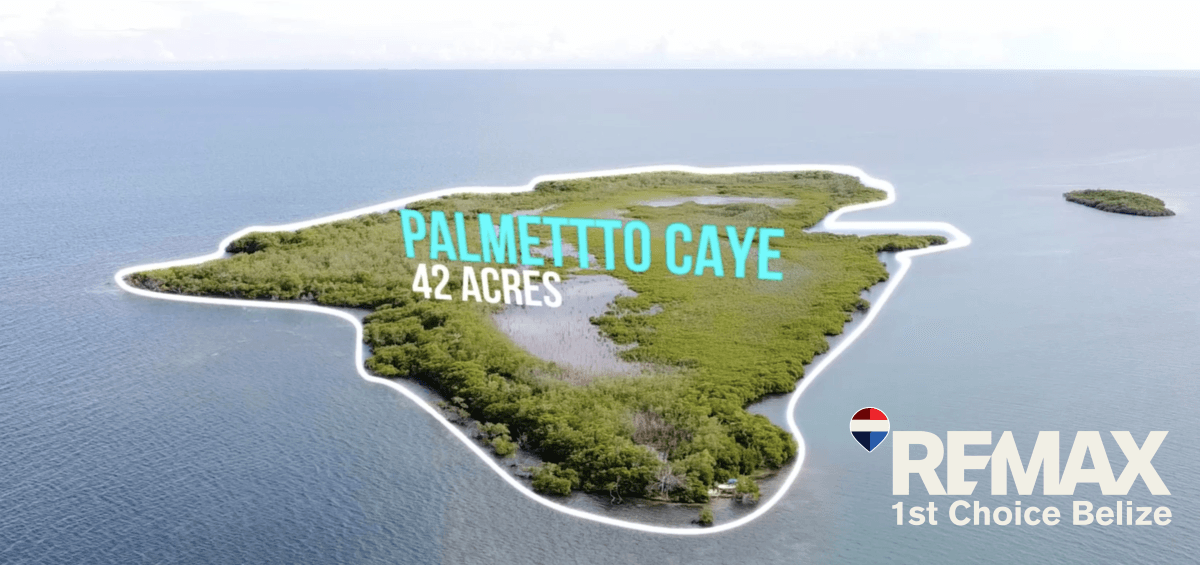 Palmetto Caye
