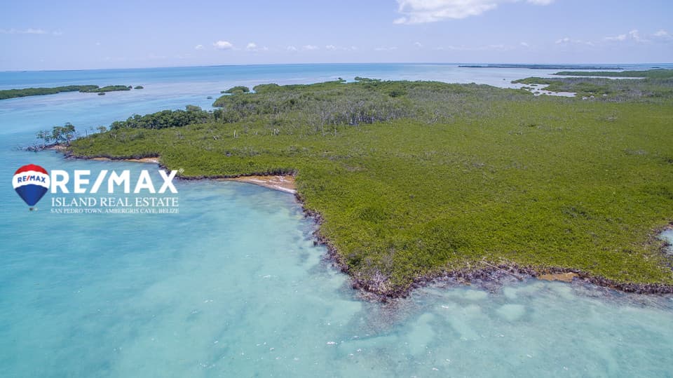 10.375 Acre Waterfront Property for Sale on Hicks Caye, Belize