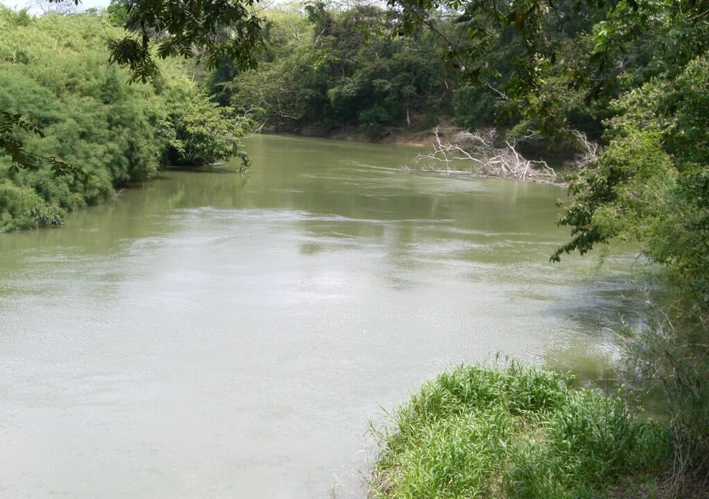 115 Acres of Riverfront Farm Land in Scotland Halfmoon