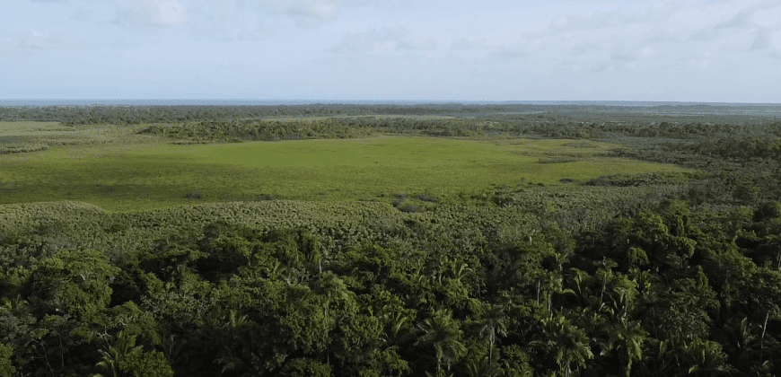 13.992 Acres Riverfront Property