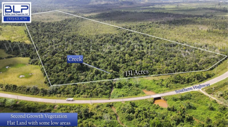 131 Acres on Southern Highway