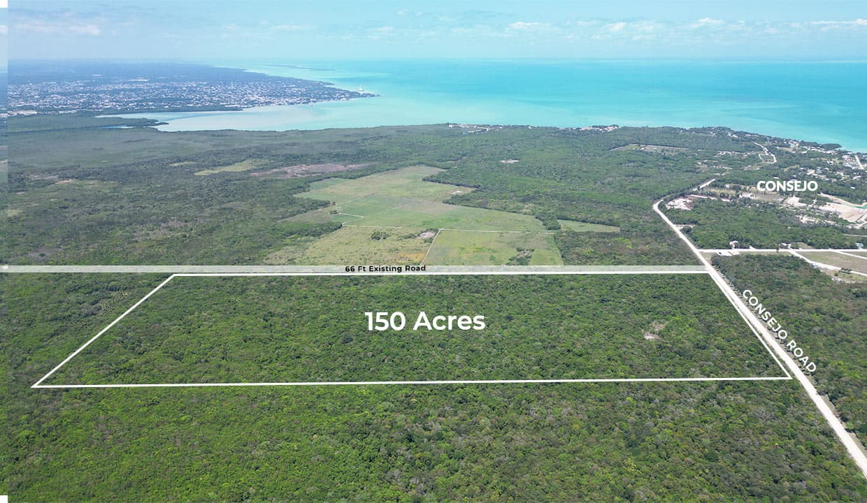 150 Acres Rare Find Prime Investment Development Property on Consejo Road Corozal Nothern Belize