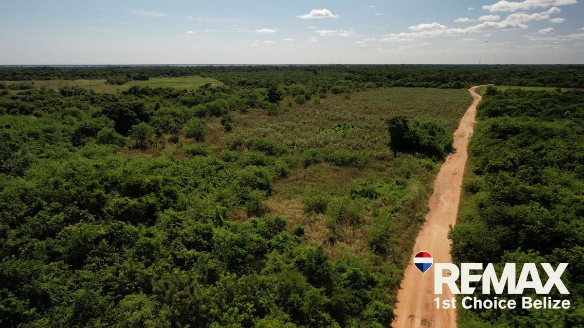 20.75 Acres of Prime Fertile Land Near Corozal Town