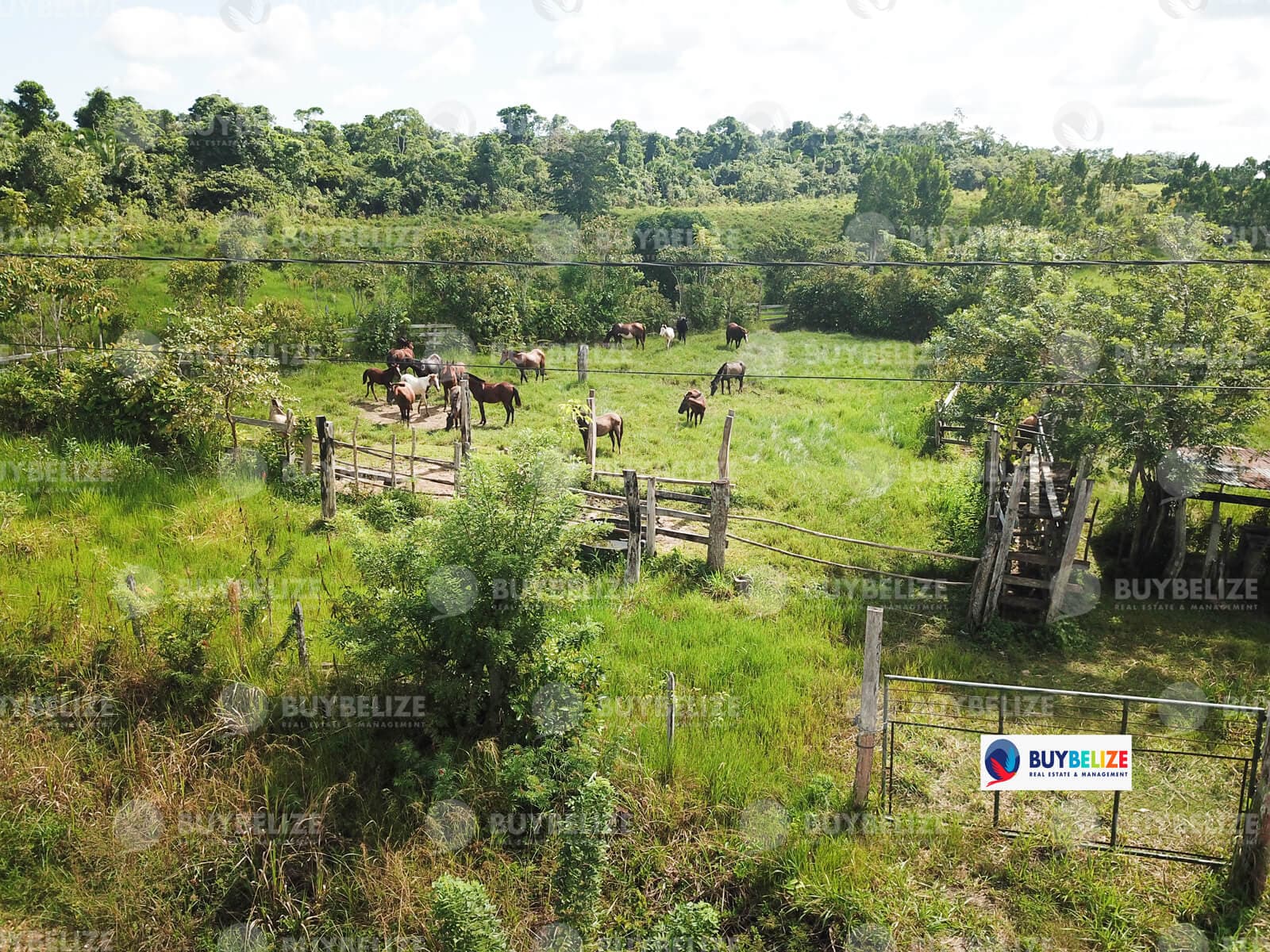 227 Acre Farmland with Highway Frontage