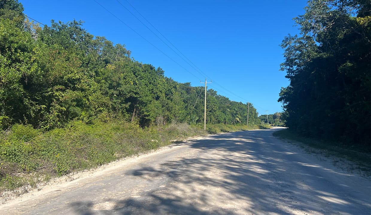 Corozal Real Estate