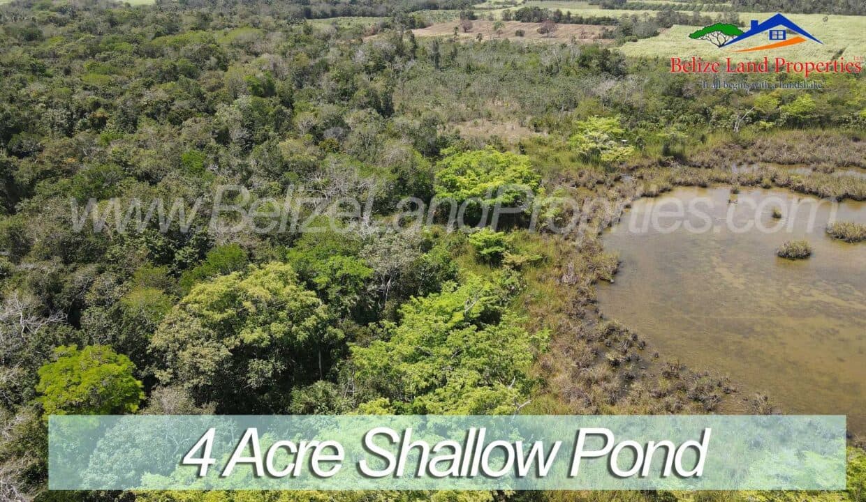 282 ACRE FARMLAND WITH A CENOTE AND A POND NORTH OF SANTA MARTHA VILLAGE