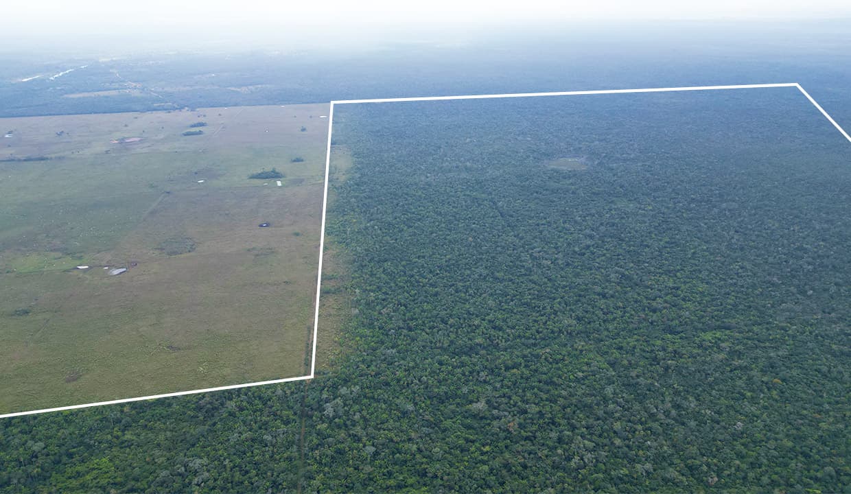 3000 Acres Agriculture Investment Opportunity in Rancho Dolores, Belize District