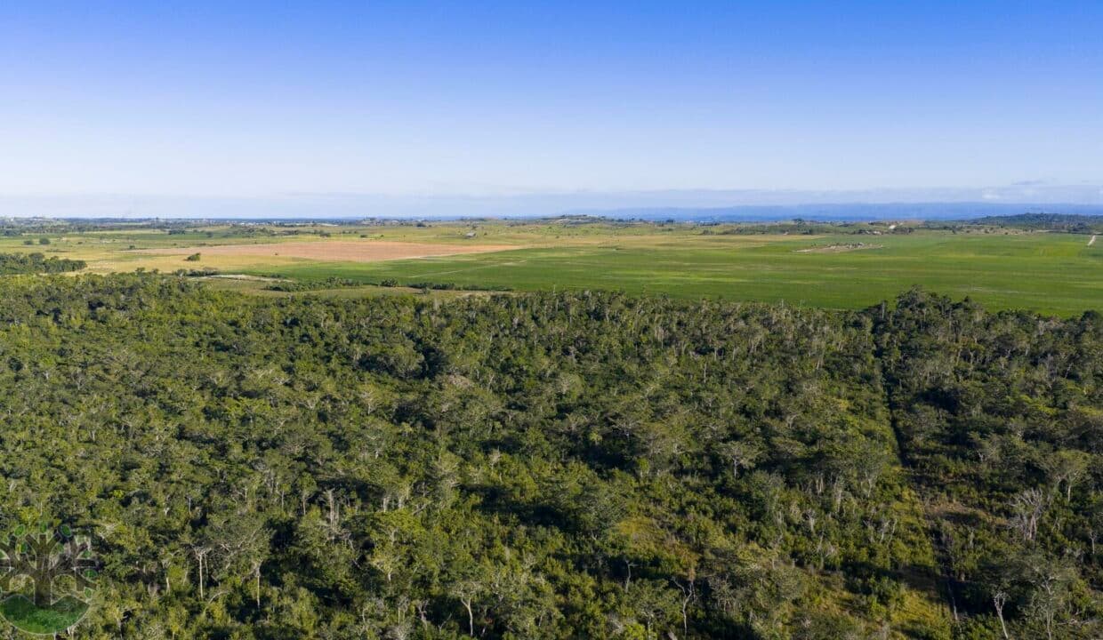 50-ACRE INVESTMENT PROPERTY IN CADENA CREEK AREA