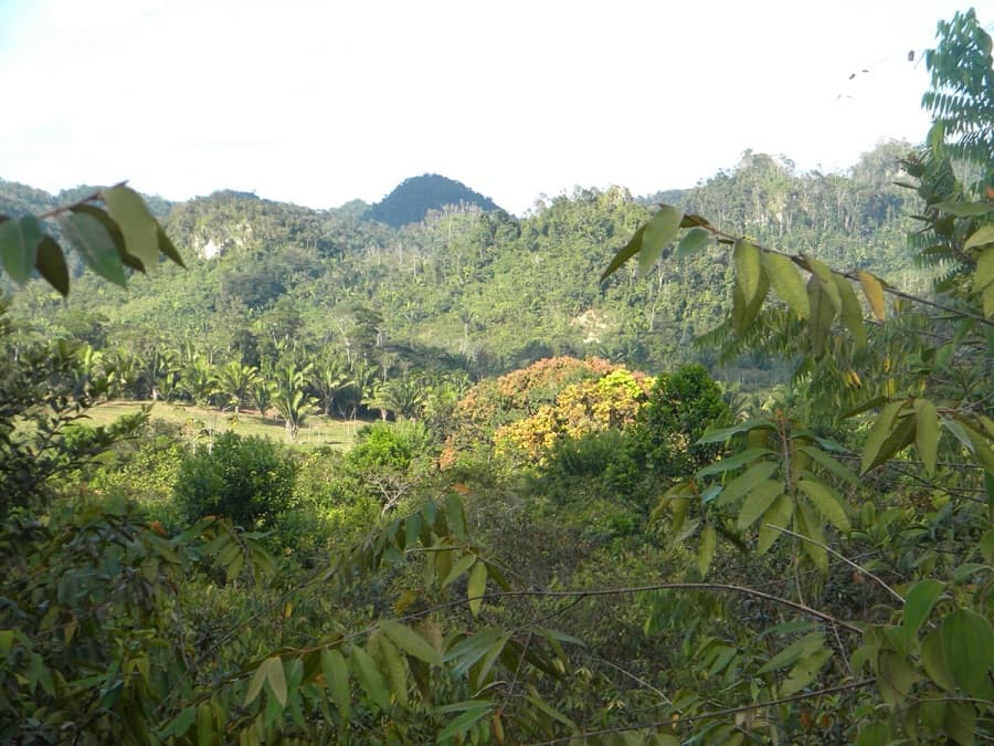 62 acres of land on Hummingbird Highway with small creek and hills