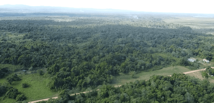 8.455 Acres of Prime Land in Sittee River Village, Belize