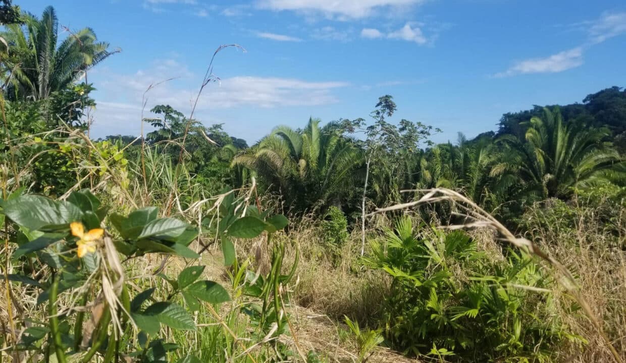 9.53 Acres River front