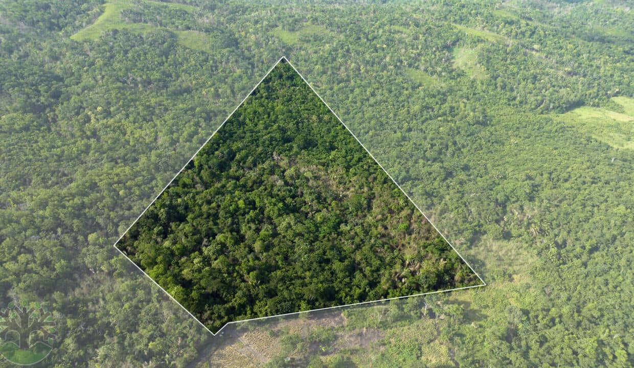 AN EXCEPTIONAL 37.5-ACRE INVESTMENT PROPERTY CLOSE TO BULLET TREE, CAYO!