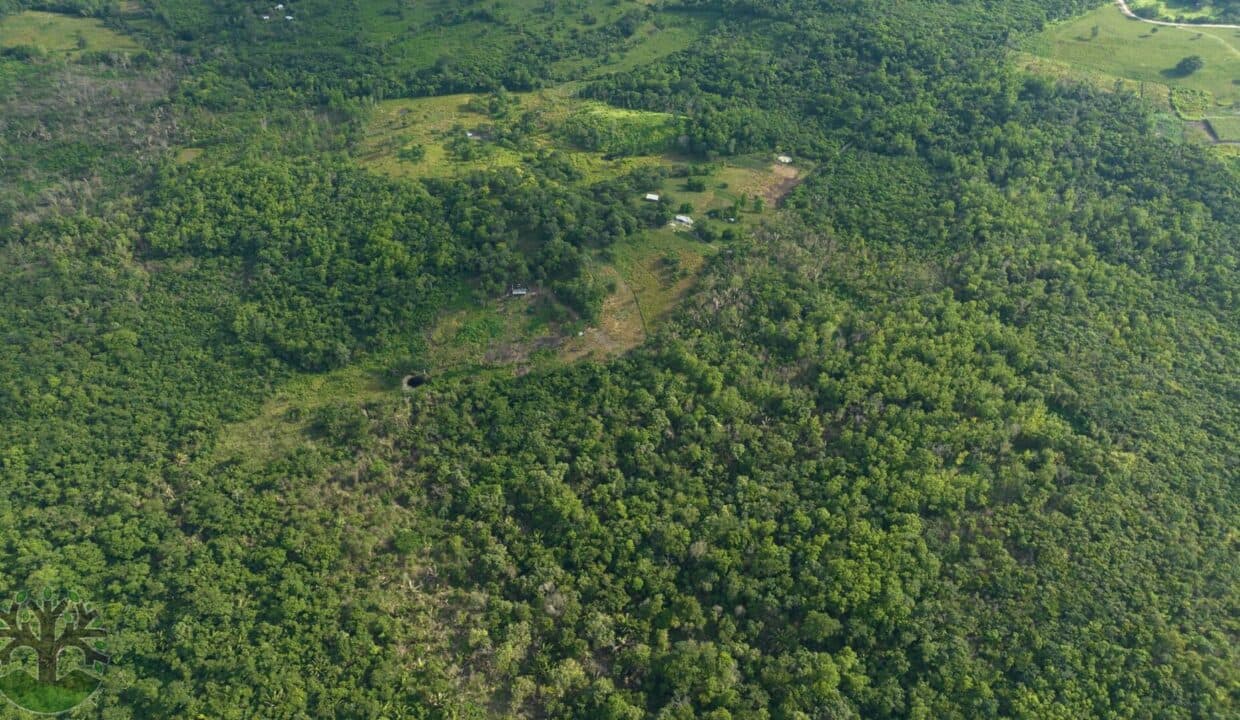 AN EXCEPTIONAL 37.5-ACRE INVESTMENT PROPERTY CLOSE TO BULLET TREE, CAYO!