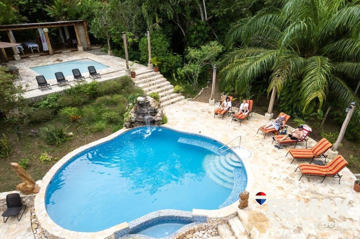 Award Winning Jungle Lodge