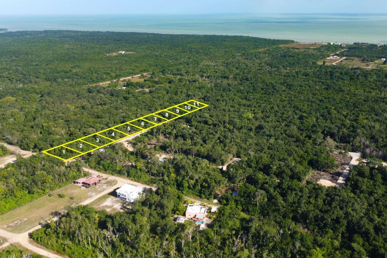 1/4 Acre Lots in Tranquil Subdivision in Corozal FINANCING AVAILABLE!!!