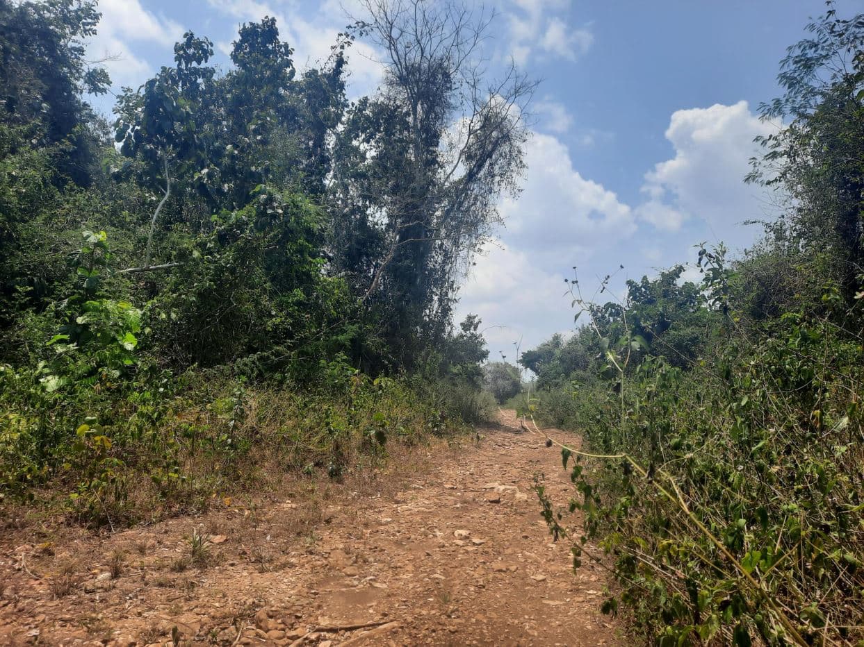 #2529 – 10 ACRES OF LAND NEAR SAN ANTONIO VILLAGE, CAYO DISTRICT.