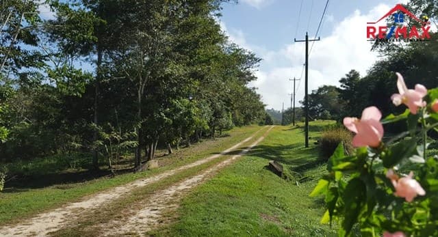 # 4011 BELIZE RESIDENTIAL 1/2 ACRE LOT SAN IGNACIO, CAYO DISTRICT