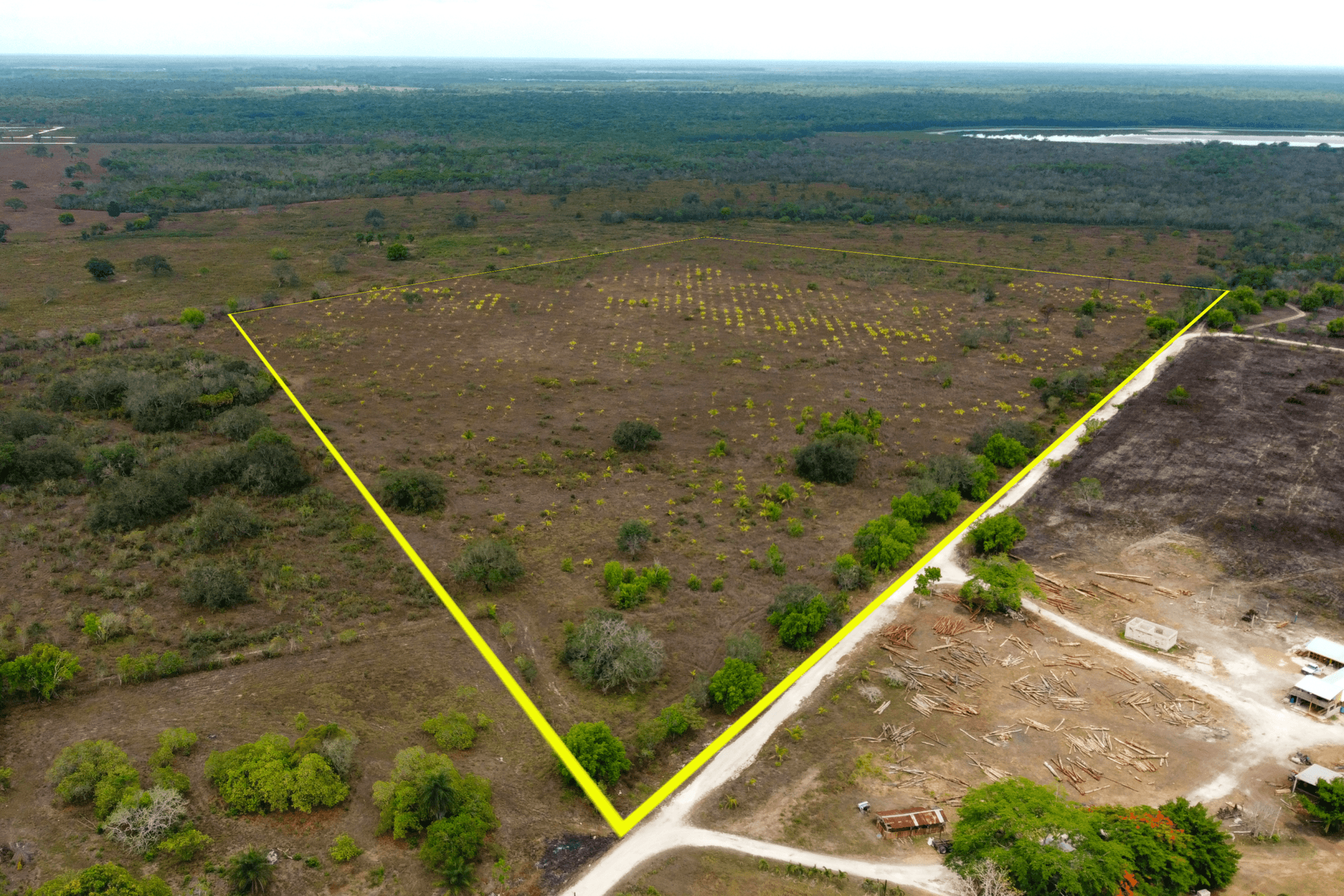 Listing 3001 46.5 Acres of High Fertile Farmland | Carmelita, Orange Walk District