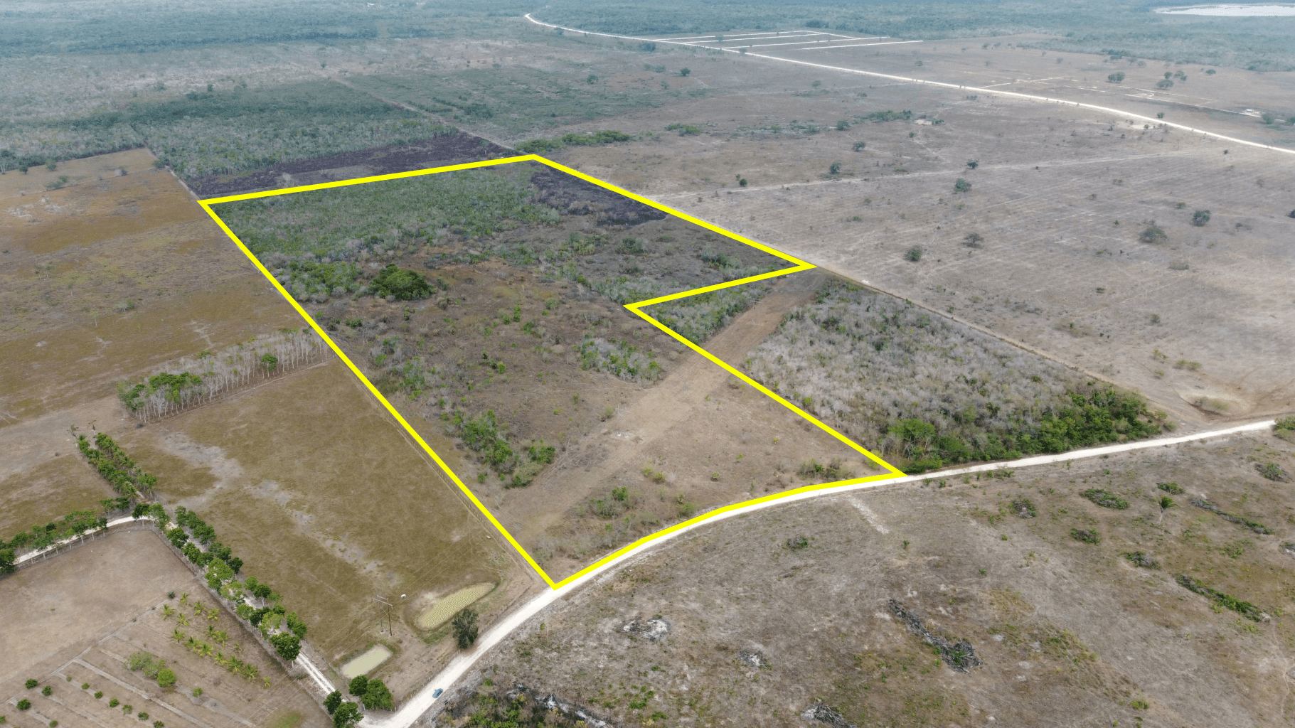 Listing 3002 50 Acres with Road Frontage | 15 Minutes to Orange Walk Town