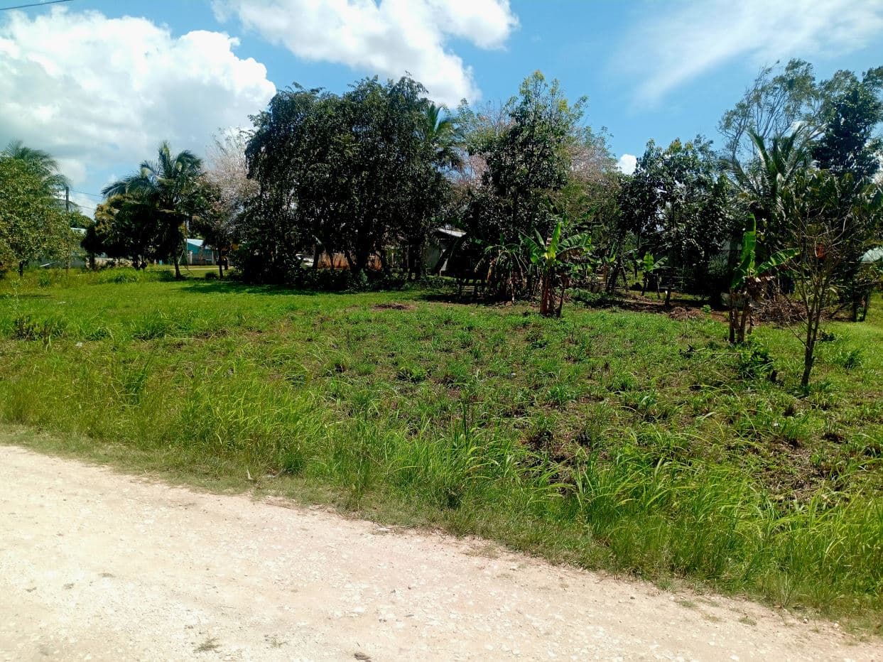 Residential lot in the peaceful village of Esperanza. Just 10 mins from San Ignacio.