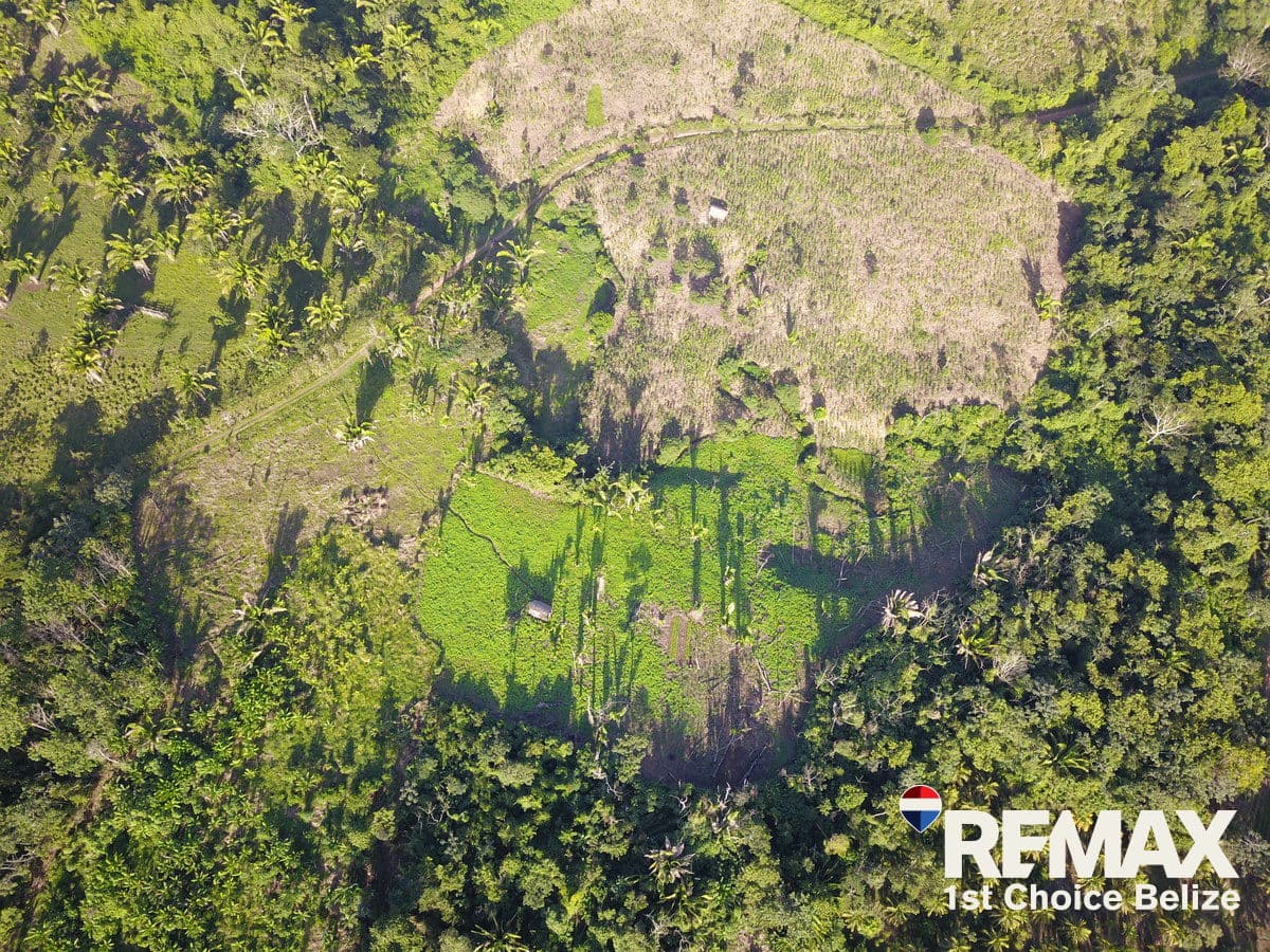 Exceptional Opportunity: 26.829 Acres of Prime Farm Land in the Village of Red Bank