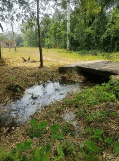 Exclusive Riverfront Opportunity in Rancho Dolores-Spanish Creek Estate, BELIZE