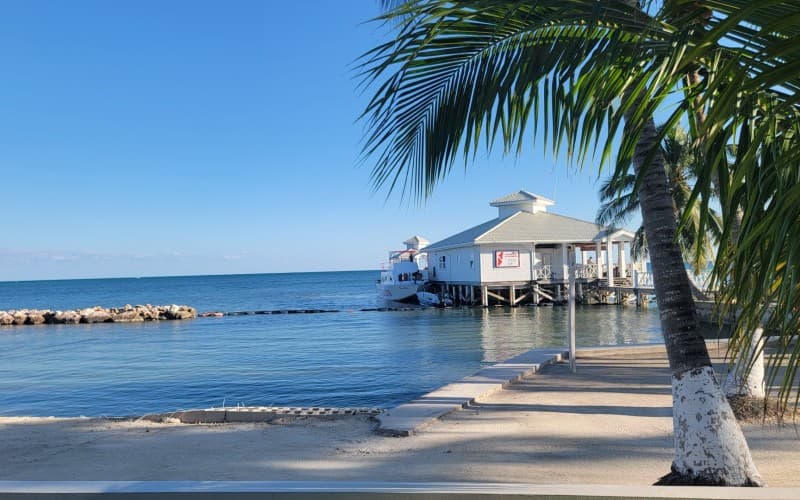 3111 Reef House @ Alaia