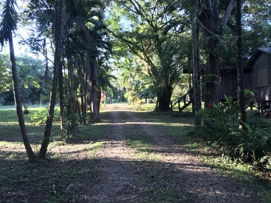 L6213 – One-of-a-Kind Riverfront Opportunity | Nearly 200 Ft of Frontage – Lot 8 and 9