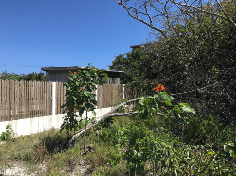 OCEAN FRONT LOT WITH DOCK (Financing Available!!!)