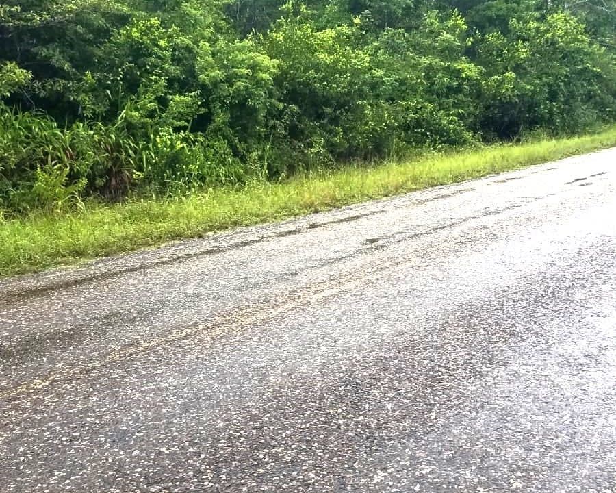 Prime 62-acre parcel with over 1200 feet of frontage along the Southern Highway near Mile 4