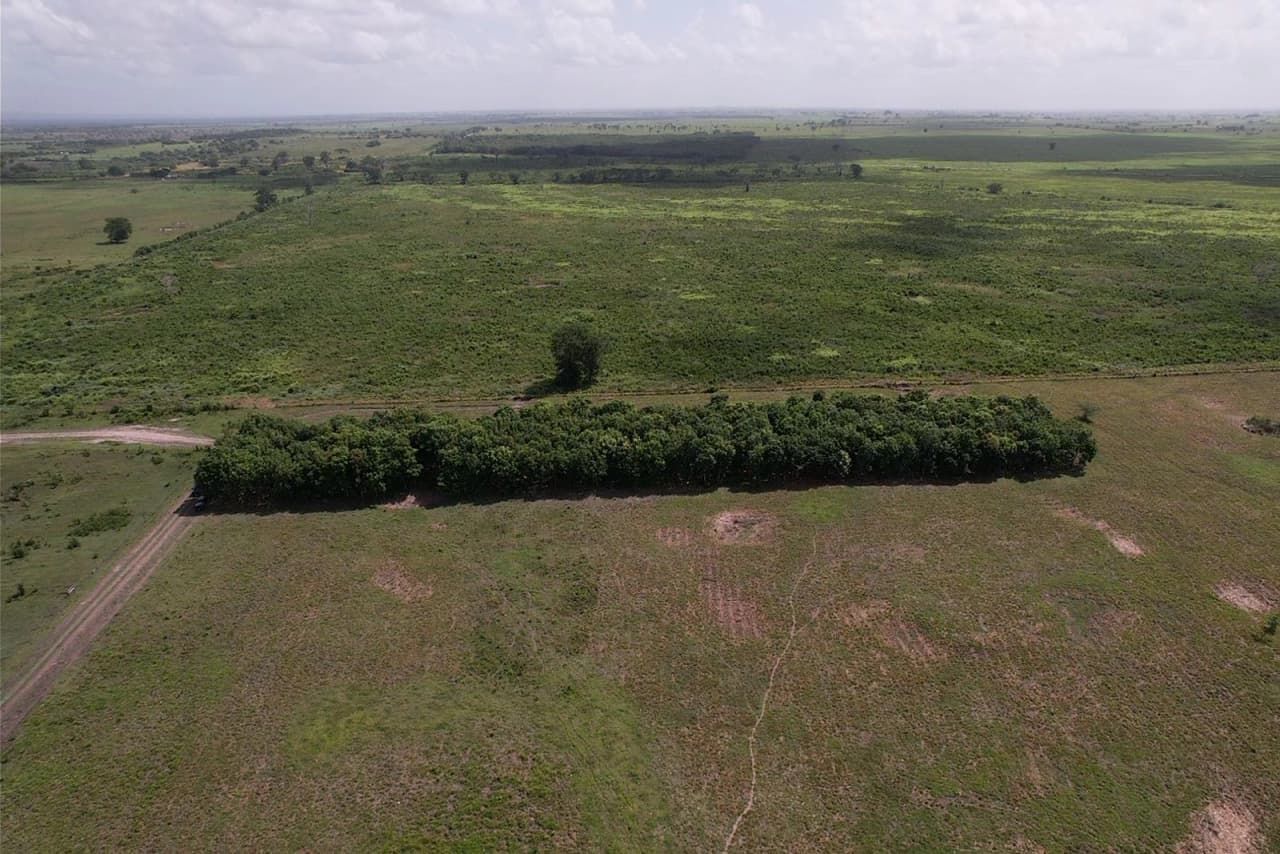 Prime Farmland in Orange Walk – 359 Acres