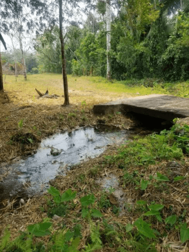 Prime Riverfront Land in Rancho Dolores, BELIZE