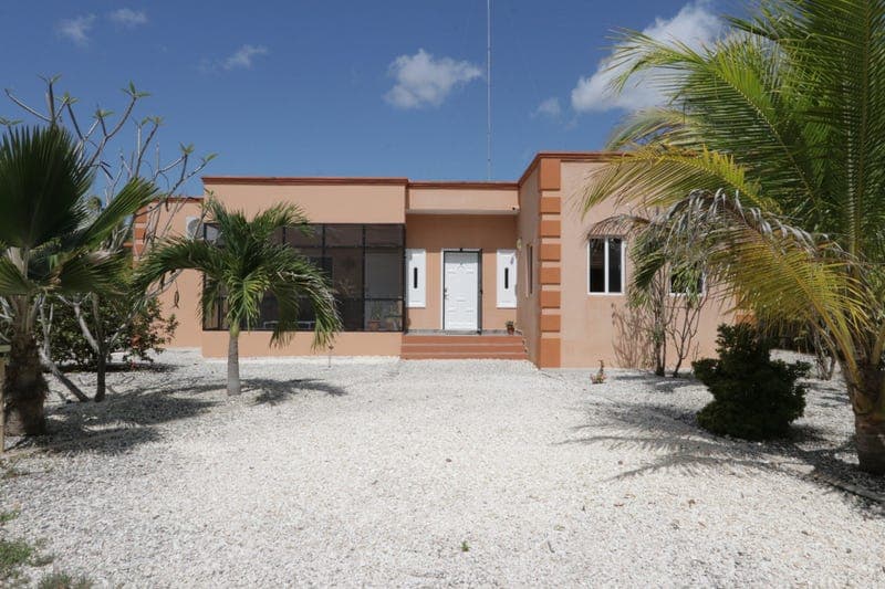 Emerald Parrot Lane, Consejo