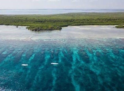 4 Acres - NE Turneff Island - Belize, Turneff Island Belize, Belize City 99999 Rural for Sale