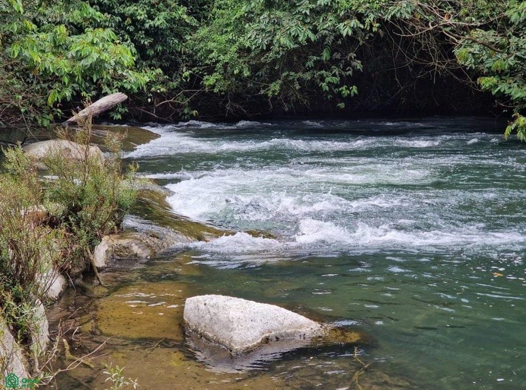 Big Falls Farmers Road Big Fall, Toledo, Big Fall, Toledo District