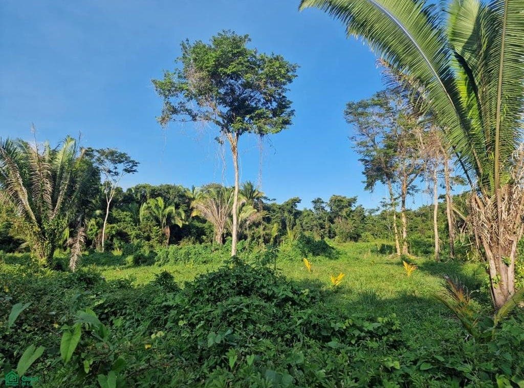 Trumpet Street Cattle Landing, Toledo, Cattle Landing, Toledo District