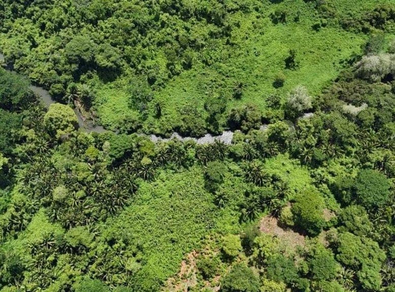 Big Fall, Toledo, Big Fall, Toledo District