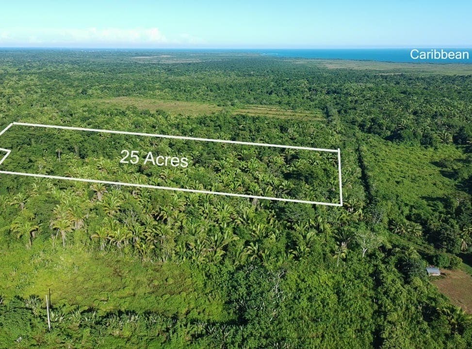 Off main street, Silkgrass, Stann Creek District Land/Development for Sale