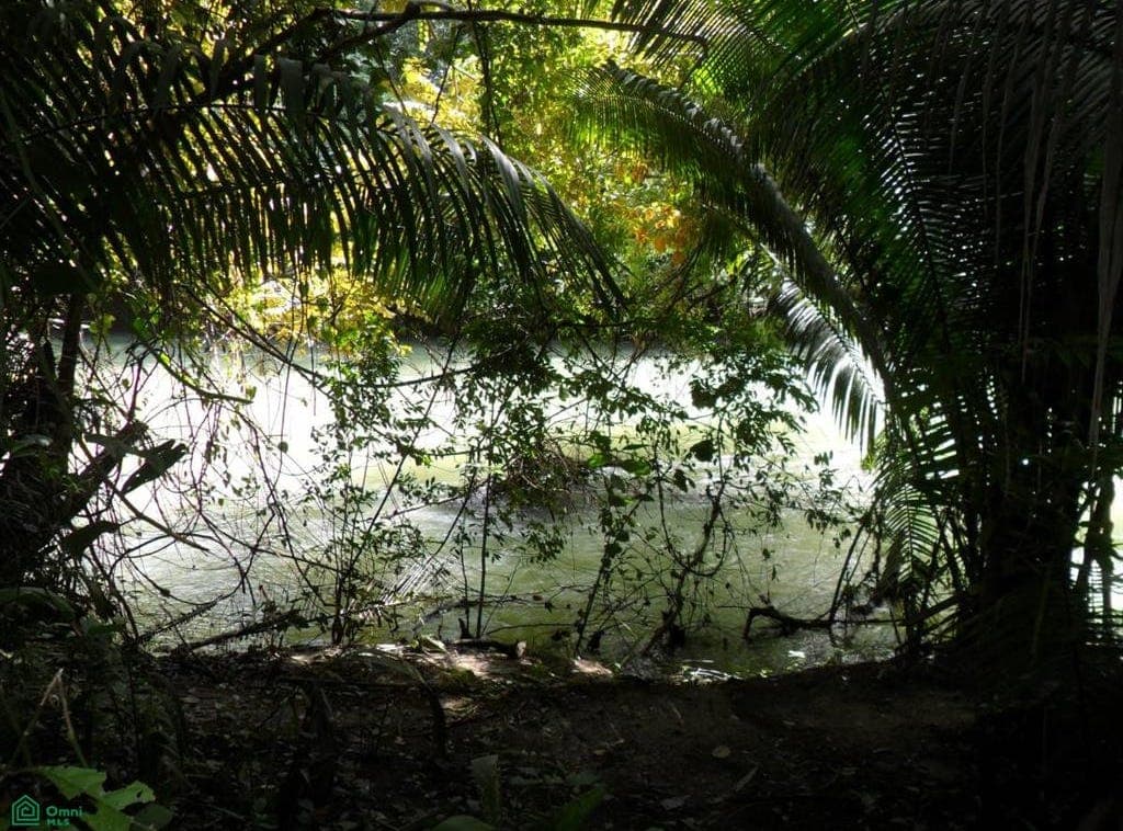 Big Fall, Toledo, Big Fall, Toledo District