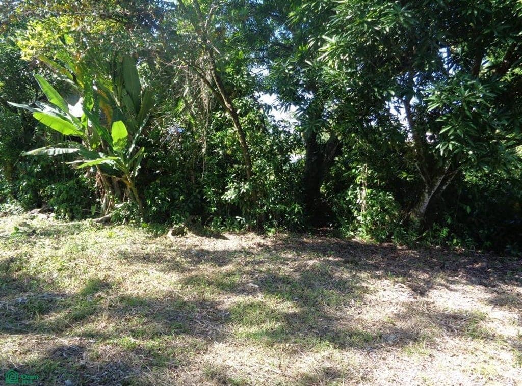 Cattle Landing, Toledo, Cattle Landing, Toledo District