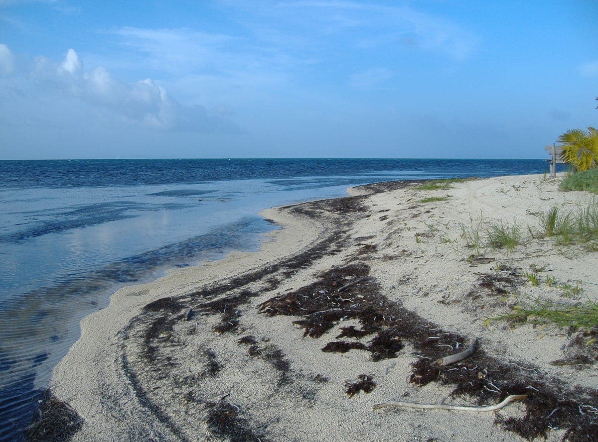 Belize City, Belize City
