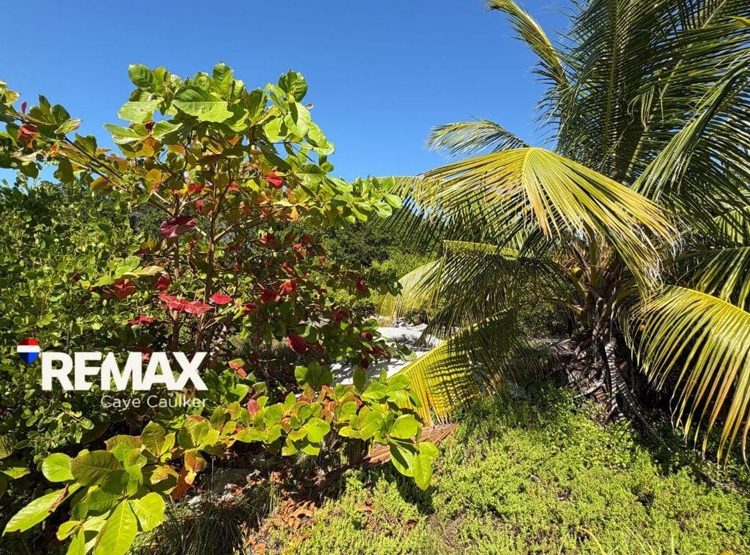 Mayan Sunrise, South Point, Caye Caulker, Caye Caulker, Belize District, Caye Caulker, Belize District