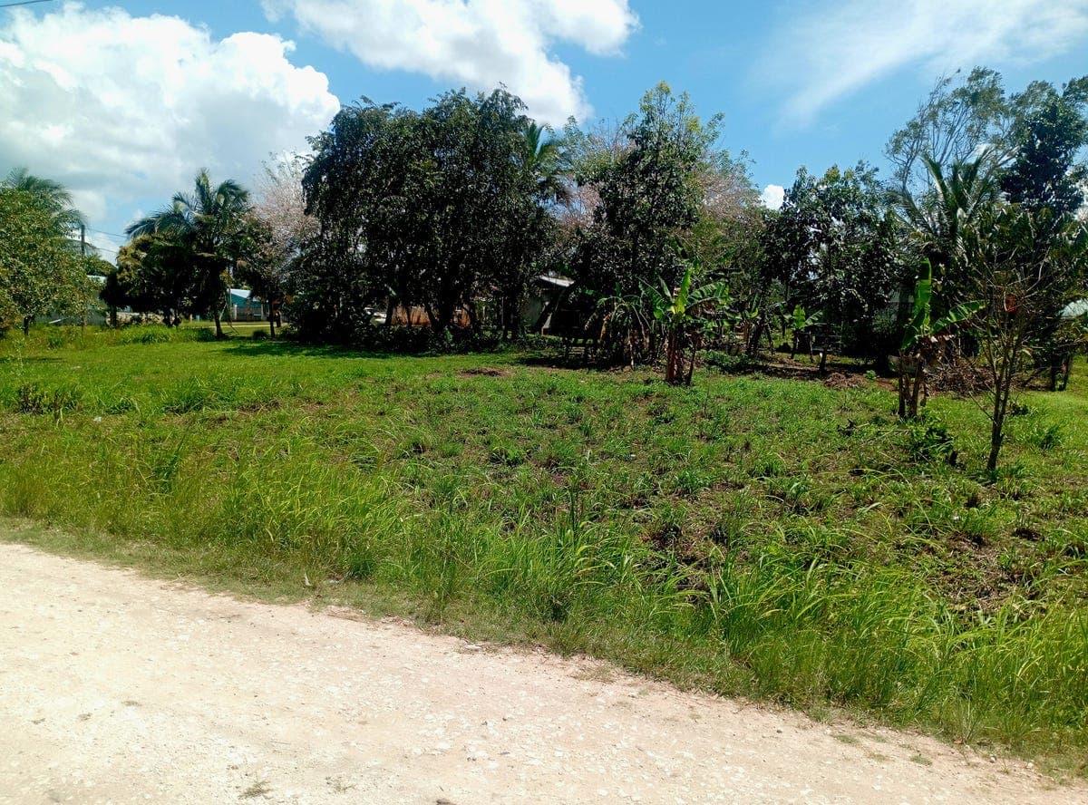 Farmer's Road, Esperanza, Cayo District, Esperanza, Cayo District