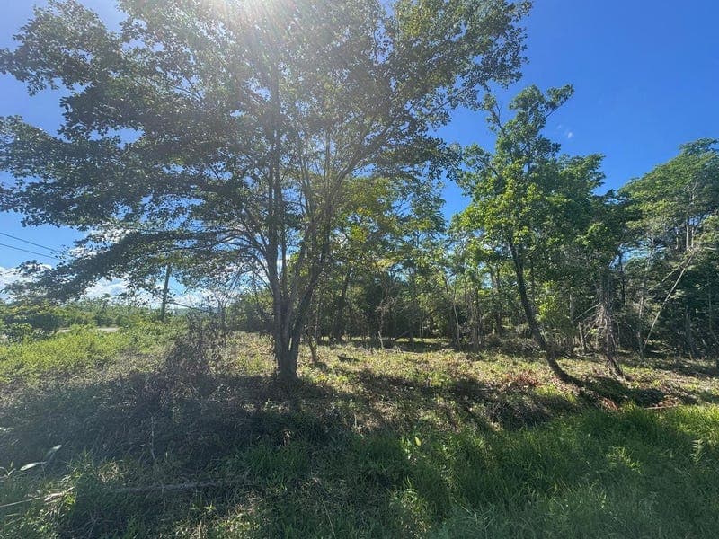 Hopkins, Stann Creek District