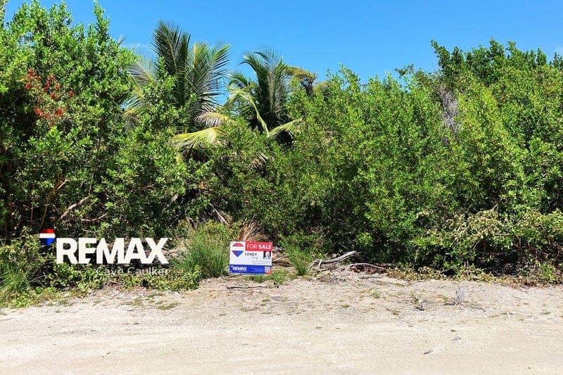 North Caye Caulker, Caye Caulker, Belize District, Caye Caulker, Belize District