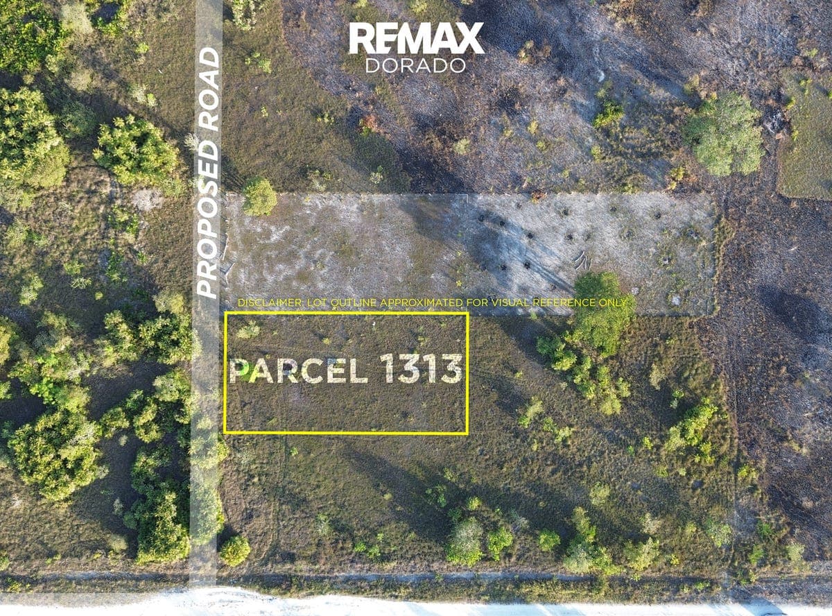 Near Carmelita Village, close to the Smart Tower on the away, about 50 yards from the highway, Carmelita, Orange Walk District, Carmelita, Orange Walk District
