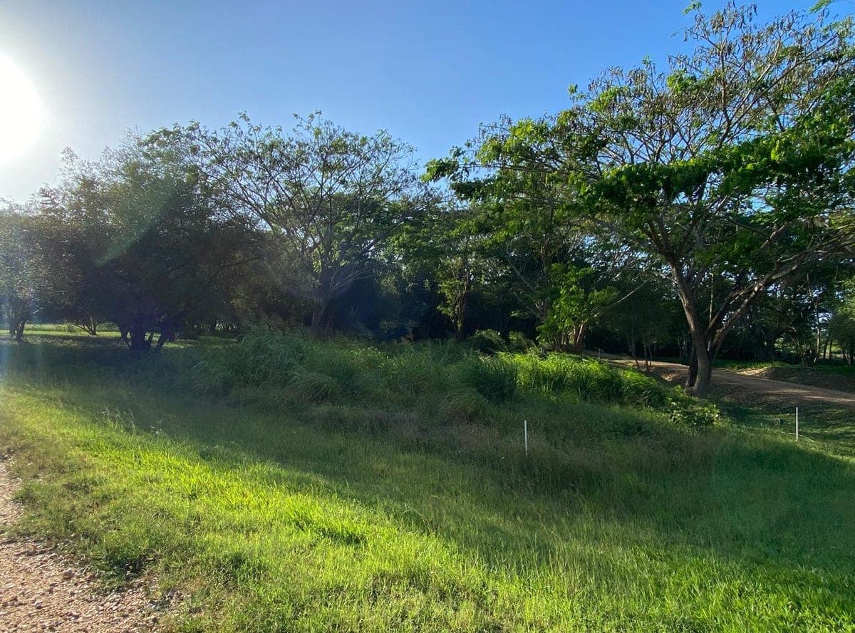 43 Carmelita Gardens, Santa Familia, Cayo District, Santa Familia, Cayo District