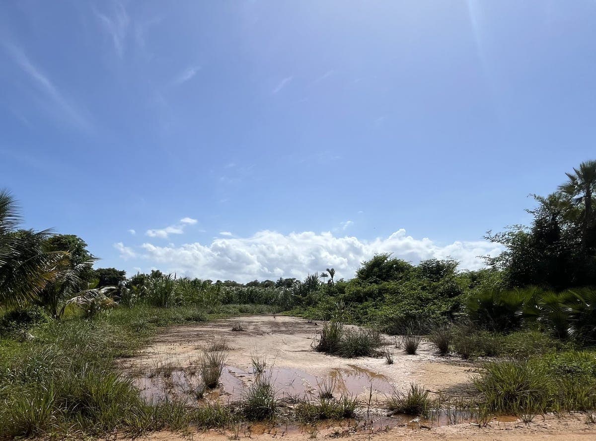 Sittee River, Sittee River, Stann Creek District, Sittee River, Stann Creek District