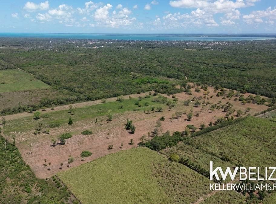 #43+ Acres Near Corozal Town, Corozal Town, Corozal District