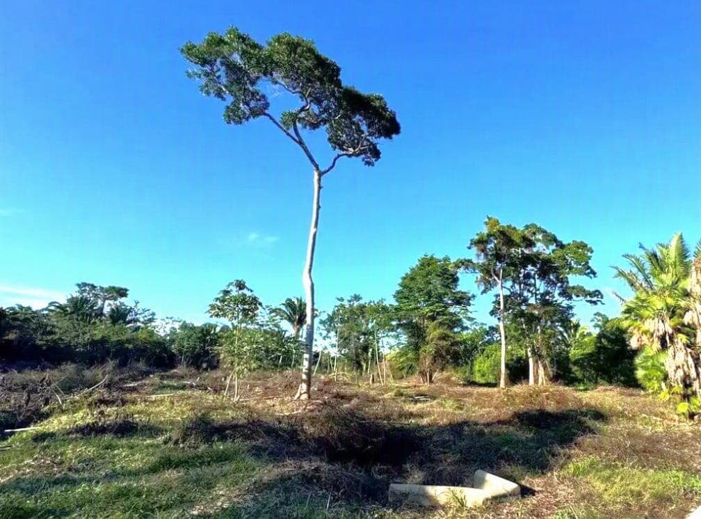The Oaks Subdivision, Hopkins, Stann Creek District Land/Development for Sale